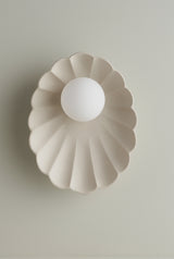Robert Gordon Oyster Sconce Light