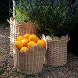 Festonne Planter Basket