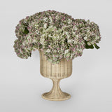 Belmont Rattan Urn