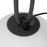 Bolleke Light, Anthracite