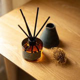 Freycinet in Coastal Moss & Sea Salt - Eco Reed Diffuser