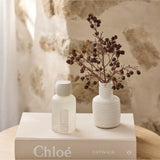 Al.ive Room Spray, Mango & Lychee