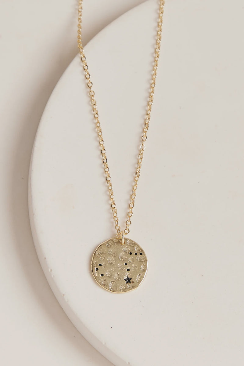 Thurston & Lovey Zodiac Necklace – twopairs homeware