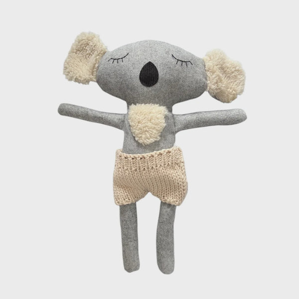 Fergus the Koala