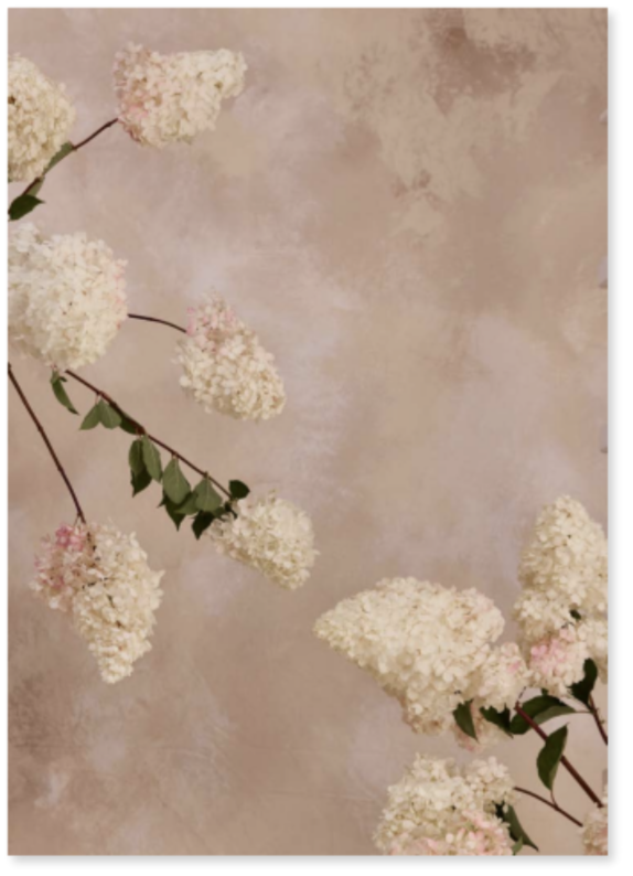 Austin Bloom Fine Art Print Framed 'Linen Paniculata'