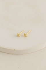 Thurston & Lovey Rose earrings, Gold