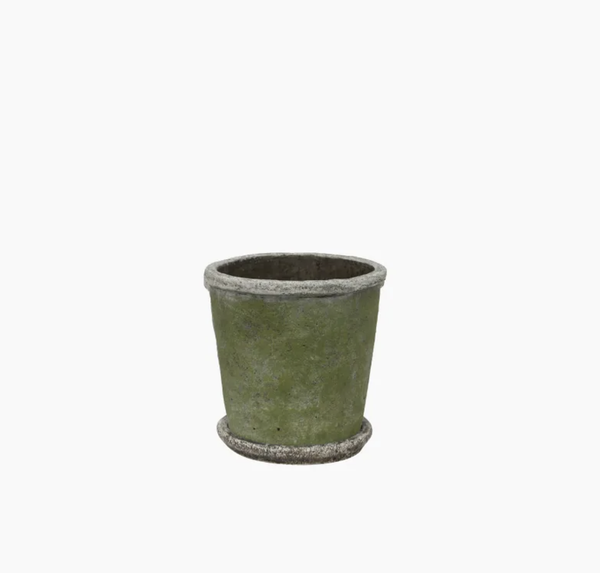 Evergreen Plant Pot & Saucer