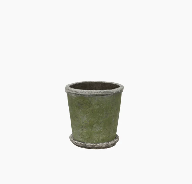 Evergreen Plant Pot & Saucer