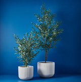 Linear Pot, White
