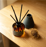 Freycinet in Coastal Moss & Sea Salt - Eco Reed Diffuser
