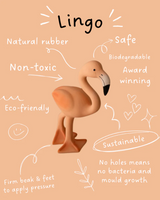 Lingo the Flamingo Teether