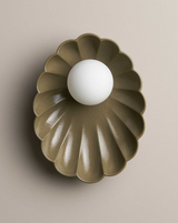 Robert Gordon Oyster Sconce Light