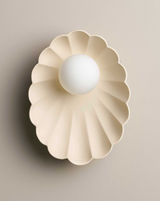 Robert Gordon Oyster Sconce Light