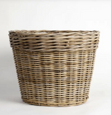 Boxwood