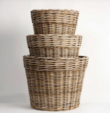 Boxwood