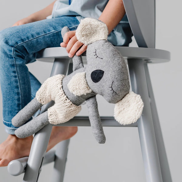 Fergus the Koala