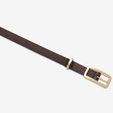 Status Anxiety Muse Belt, Choc/Gold
