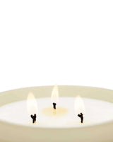 Black Orchid & Lily Candle